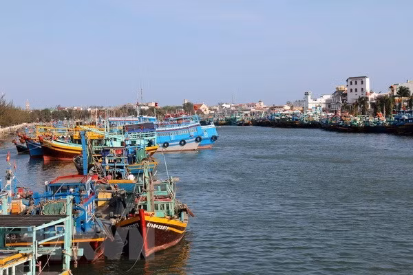 Renforcement des mesures contre la pêche INN ảnh 1