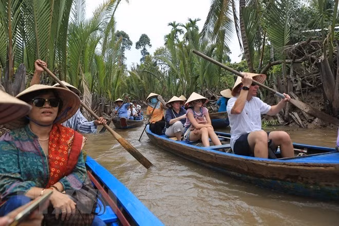 Pour la première fois, le Vietnam classe des guides touristiques ảnh 1