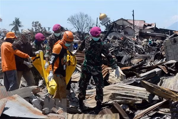 Séisme et tsunami en Indonésie: établir un site web pour rechercher les proches perdus ảnh 1