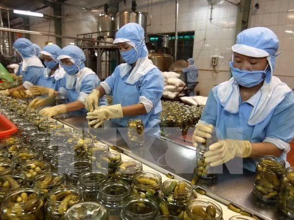 Croissance rapide du commerce Vietnam-R. de Corée grâce au libre-échange ảnh 1