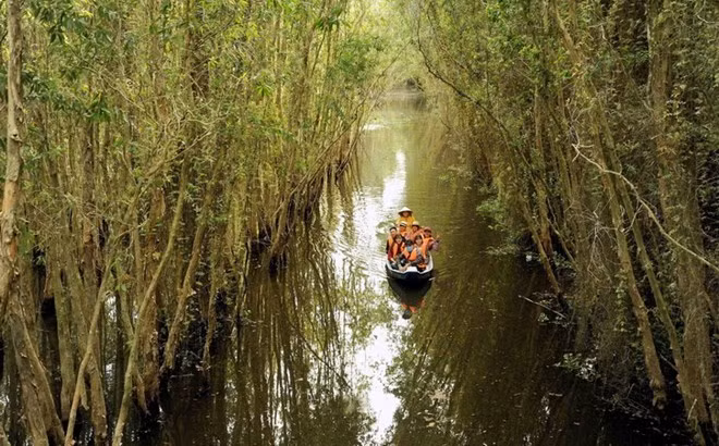 Séminaire international sur la vision touristique du delta du Mékong ảnh 1