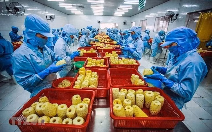 Forte augmentation des exportations vers les États-Unis en février 2023 ảnh 1