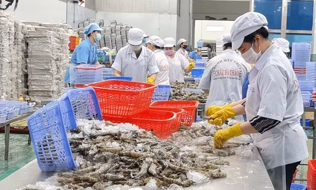 Opportunités pour des entreprises vietnamiennes de promouvoir les exportations vers la Russie ảnh 1