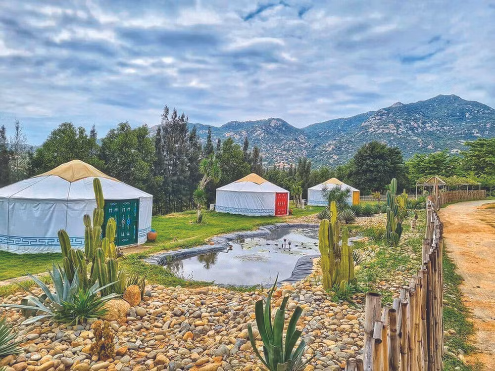 Tanyoli, une steppe mongole à Ninh Thuân ảnh 1