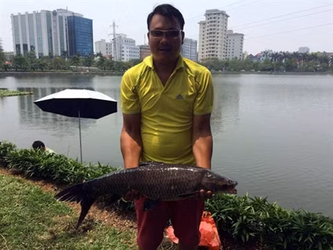 La pêche urbaine enflamme Hanoï ảnh 1