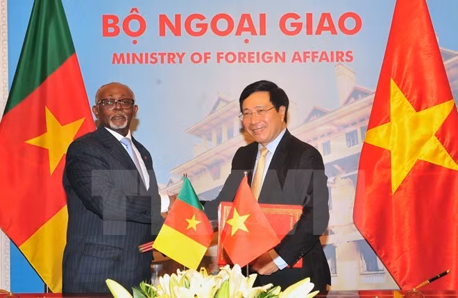 Le Cameroun veut élargir la coopération avec le Vietnam ảnh 1