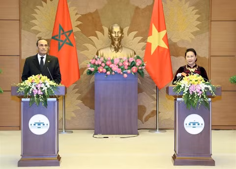 Vietnam-Maroc: L’économie sera un axe de coopération important ảnh 1