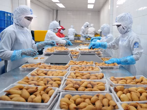 2017: bond des exportations de marchandises d’Hô Chi Minh-Ville ảnh 1