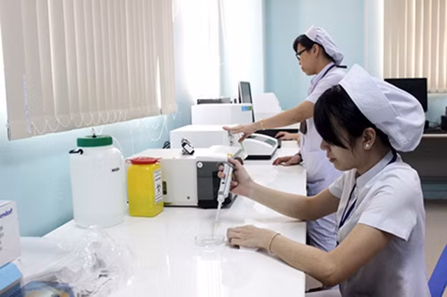 Le Vietnam œuvre pour l’amélioration de natalité ảnh 1