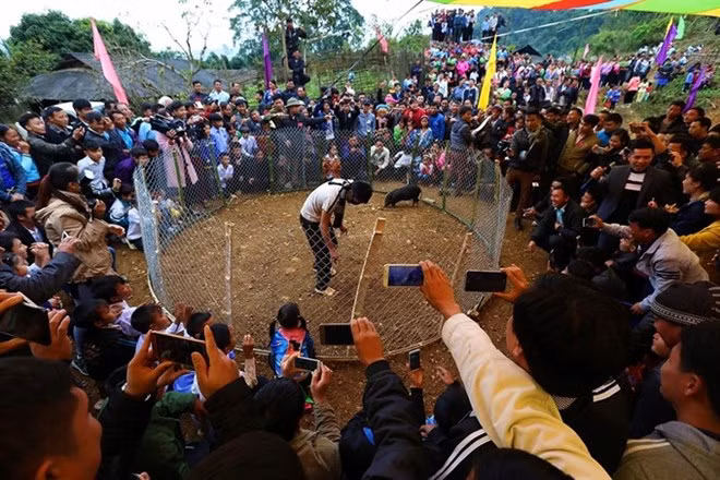 Un Tet très précoce pour un village d`ethnie H'mong du Nord ảnh 1