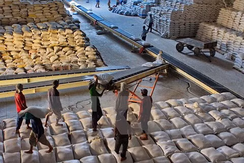 Riz : le Vietnam dépasse son objectif d’exportation pour 2017 ảnh 1