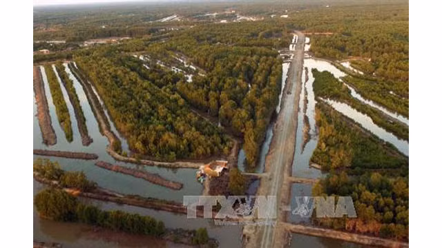Aménagement du parc national de Mui Cà Mau pour le développement durable ảnh 1