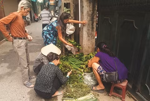 Le dernier jardin médicinal de Dai Yên ảnh 2