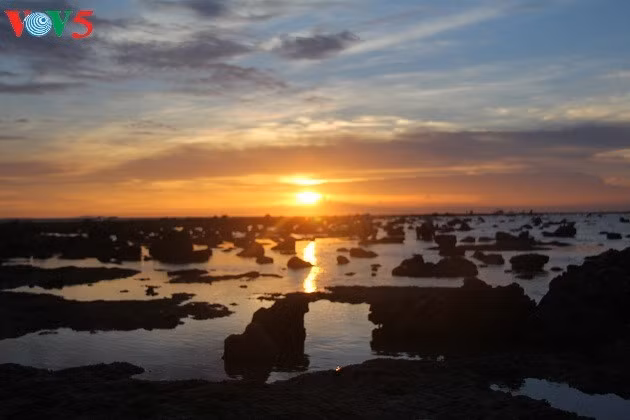 Les circuits touristiques sur l’île de Ly Son ảnh 1