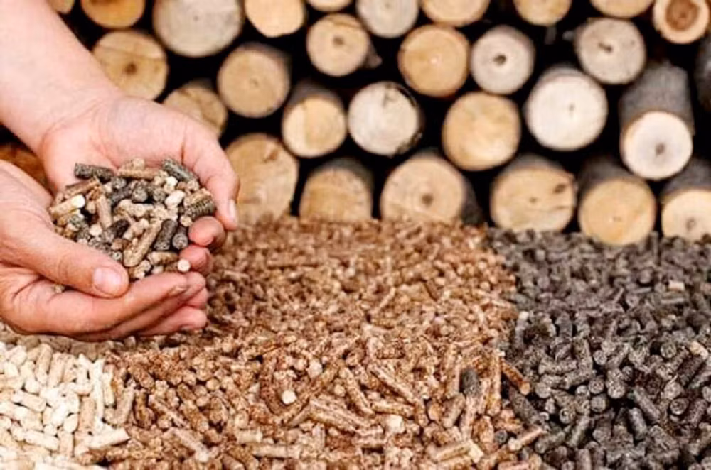 Les exportations de granulés de bois, opportunités et défis ảnh 1
