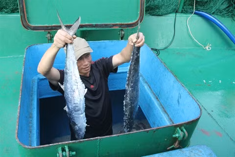 Formosa : un an après, la vie reprend son cours ảnh 2