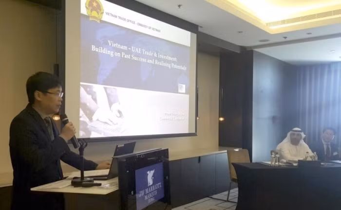 Présentation du Vietnam aux Émirats arabes unis ảnh 1