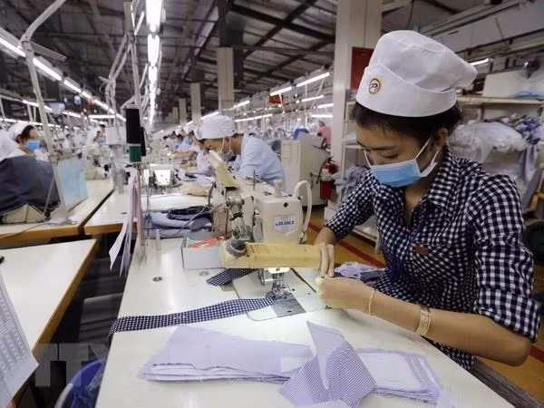 Le nombre d’entreprises nouvellement créées en hausse en juin ảnh 1 Le nombre d’entreprises nouvellement créées en hausse en juin ảnh 1