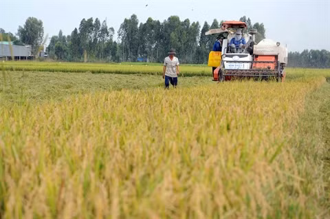 Le Vietnam face au défi du déclin de la biodiversité ảnh 1