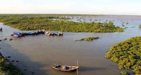 Découverte de la beauté sauvage de l’îlot de Côn Den ảnh 1