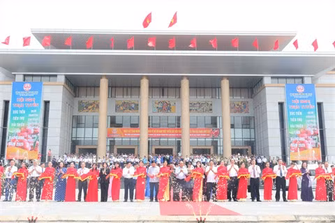 Central Retail vendra 1.000 tonnes de litchis de Luc Ngan en 2020 ảnh 1