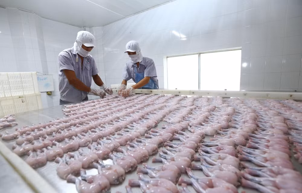 Les relations commerciales Vietnam-Royaume-Uni bénéficient de l'EVFTA ảnh 1