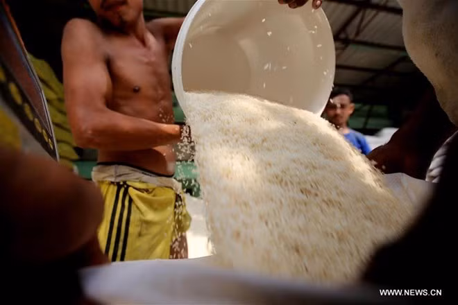 Les exportations de riz rapportent 435,96 millions de dollars au Myanmar ảnh 1