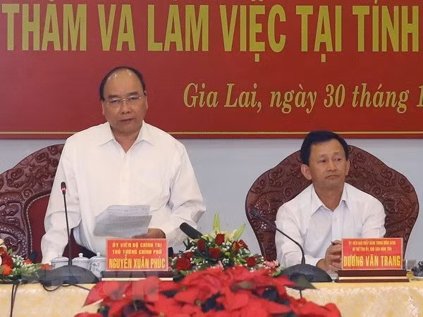 Gia Lai doit augmenter la couverture forestière ảnh 1