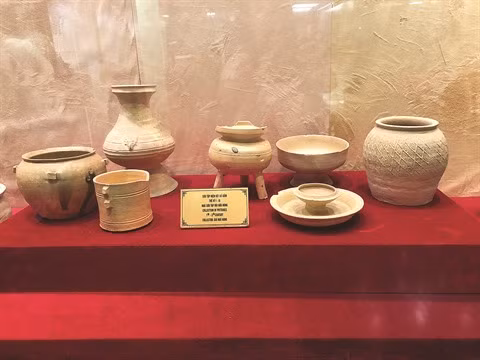 Le Vietnam a de riches collections à préserver ảnh 1