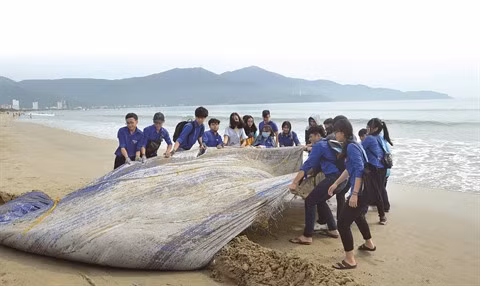 Sur terre et en mer, unis pour réduire la pollution plastique ảnh 1
