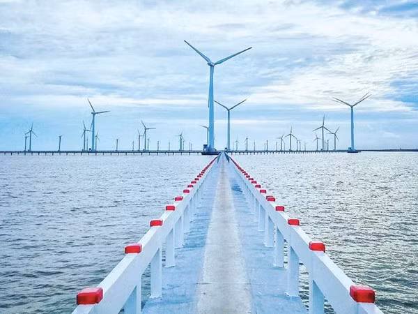 Le delta du Mékong développe les énergies renouvelables ảnh 1