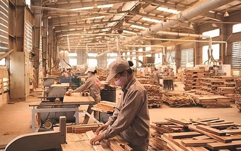 Les exportations de bois et de meubles retrouvent des couleurs ảnh 2
