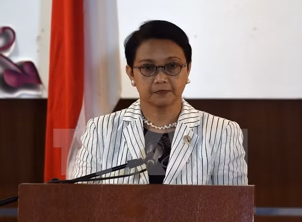 Indonésie et Mozambique promeuvent leur coopération économique ảnh 1 Indonésie et Mozambique promeuvent leur coopération économique ảnh 1