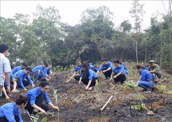 Planter un milliard d'arbres pour un Vietnam vert ảnh 1 Planter un milliard d'arbres pour un Vietnam vert ảnh 1