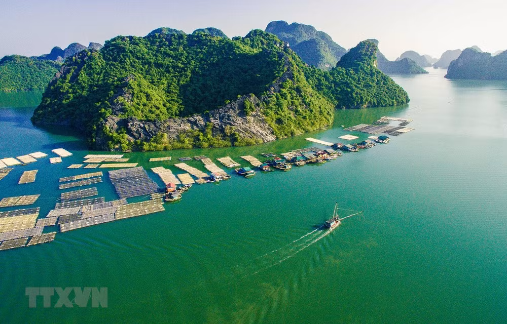 Cat Ba s’oriente vers le tourisme vert et durable ảnh 1 Cat Ba s’oriente vers le tourisme vert et durable ảnh 1