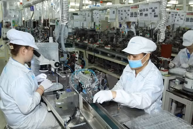 Promulgation de la stratégie de développement de la science, de la technologie et de l'innovation/P5 ảnh 2 Promulgation de la stratégie de développement de la science, de la technologie et de l'innovation/P5 ảnh 2