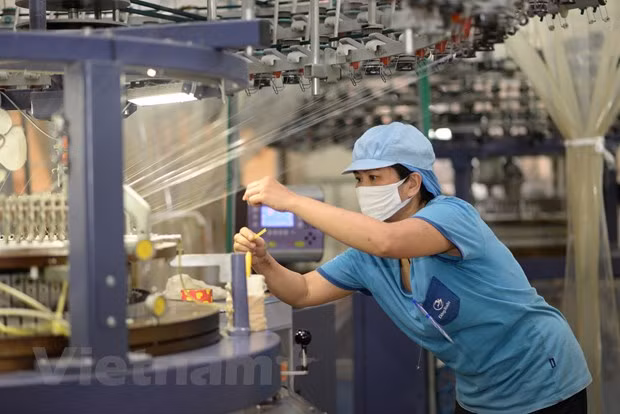 Vers une croissance des exportations de 5,5% ảnh 2