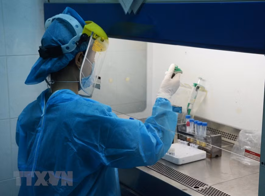 Promulgation de la stratégie de développement de la science, de la technologie et de l'innovation ảnh 7