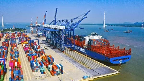 Des évaluations positives d’un expert indien sur la croissance de l'économie vietnamienne ảnh 1