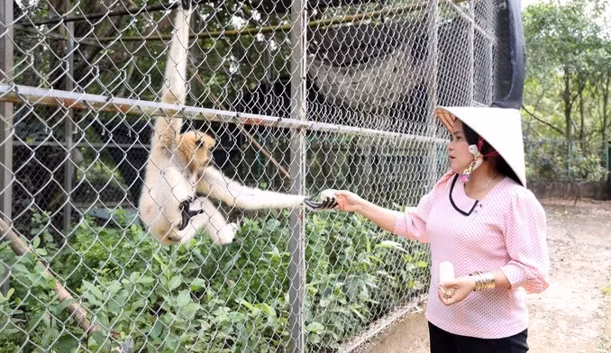 Attirer plus de touristes dans le parc national d'U Minh Thuong ảnh 1 Attirer plus de touristes dans le parc national d'U Minh Thuong ảnh 1
