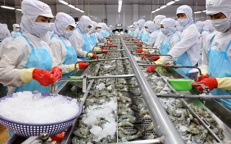 La transformation alimentaire a encore beaucoup de marge pour le développement ảnh 1