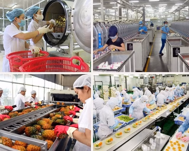 La transformation alimentaire a encore beaucoup de marge pour le développement ảnh 2