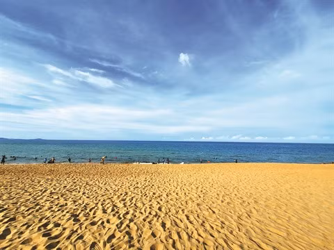 Plus de 170 circuits soldés pour l’anniversaire de Saigontourist ảnh 1 Plus de 170 circuits soldés pour l’anniversaire de Saigontourist ảnh 1