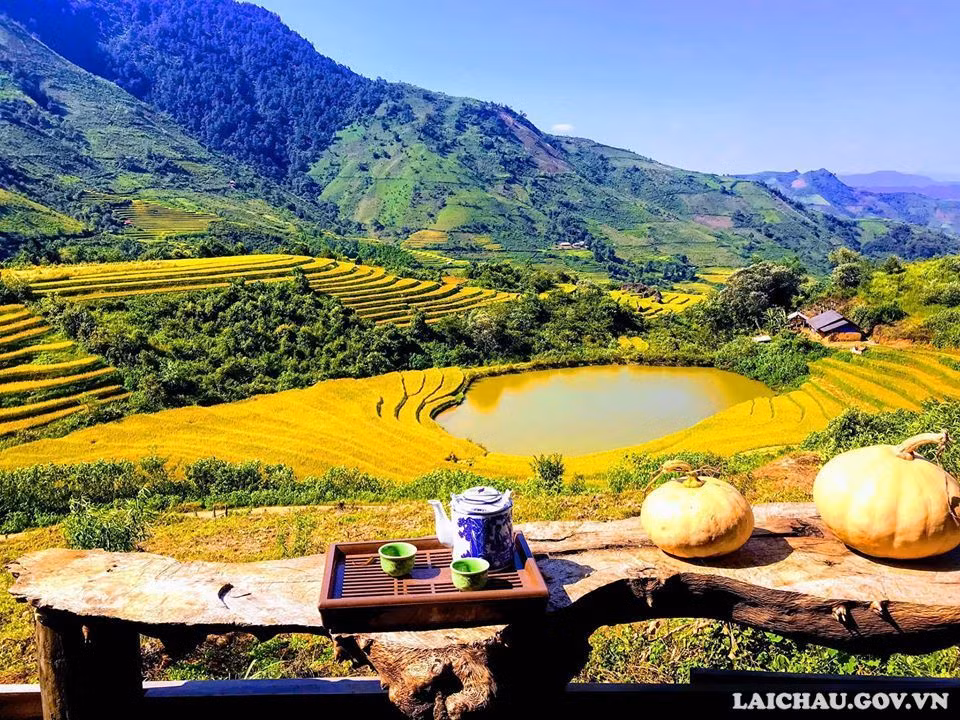 Sin Suối Hồ, un "printemps doré" à Lai Chau ảnh 1
