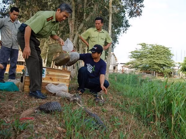 Des mesures pour préserver la biodiversité du parc national d’U Minh Thuong ảnh 1 Des mesures pour préserver la biodiversité du parc national d’U Minh Thuong ảnh 1