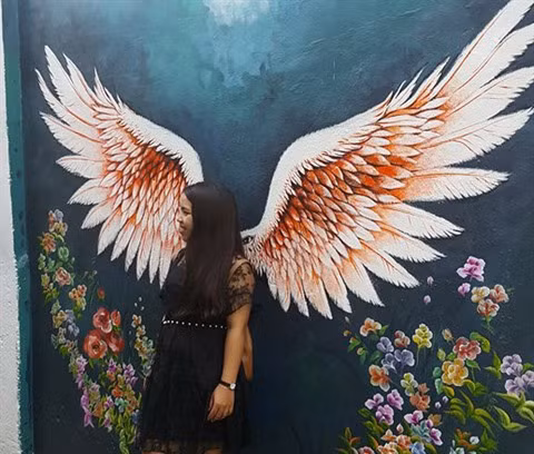 Dà Nang: des fresques murales en plein cœur de la ville ảnh 8