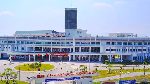 Endoscopie bronchique: des experts français transmettent leurs techniques aux médecins vietnamiens ảnh 1 Endoscopie bronchique: des experts français transmettent leurs techniques aux médecins vietnamiens ảnh 1