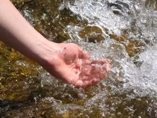 L'eau potable et les énergies renouvelables seront en exposition ảnh 1
