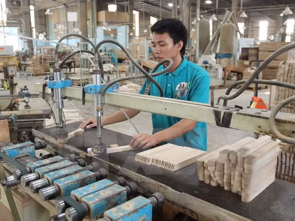 Bac Kan: construction d'une grande usine de bois ảnh 1