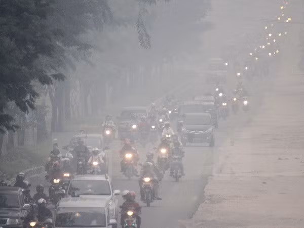 Sub-région du Mékong : mieux contrôler la pollution par les fumées ảnh 1